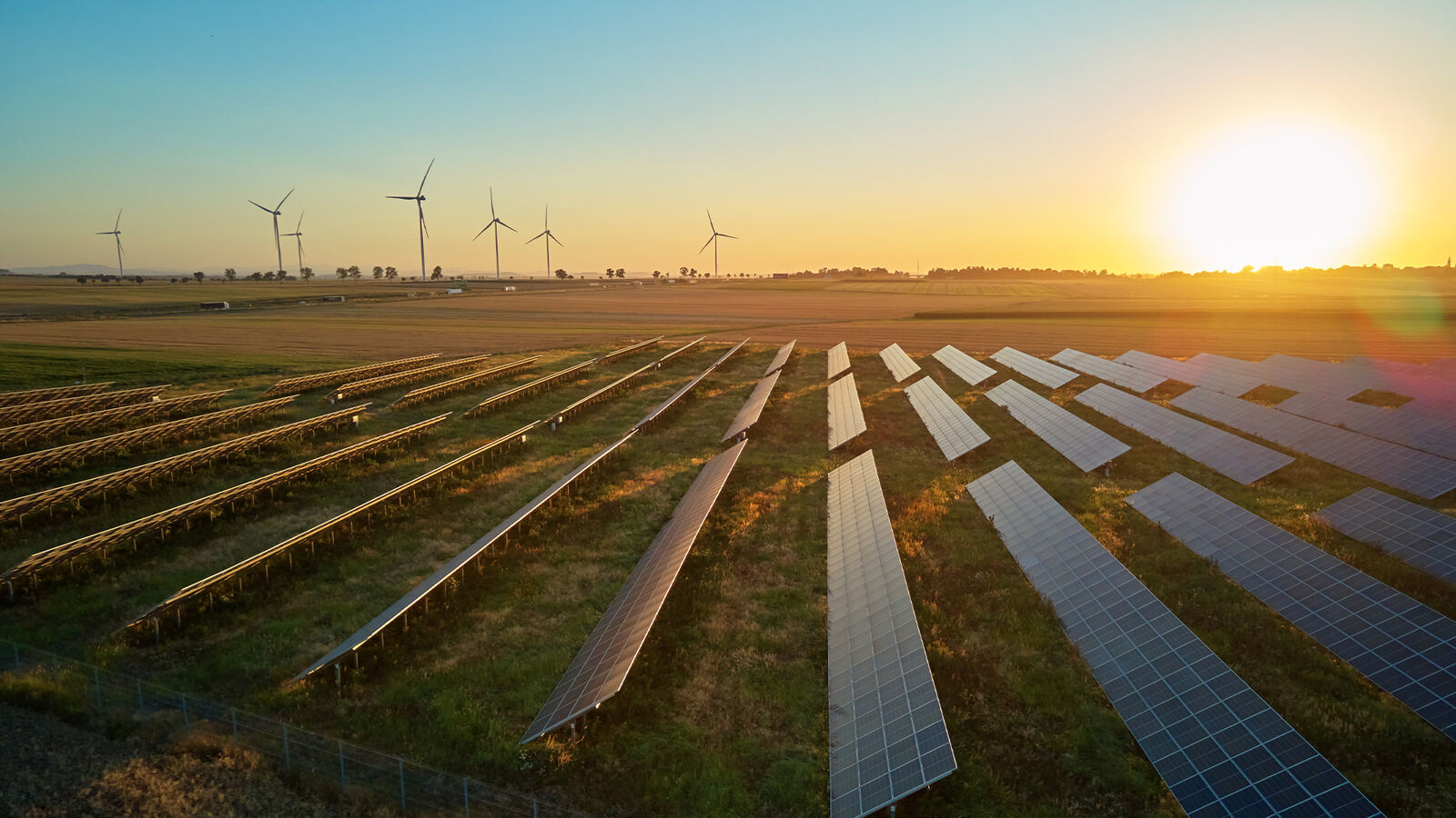 Solar field